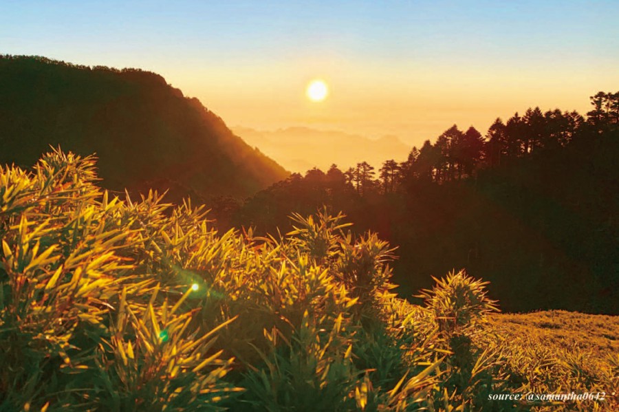登山 百岳 奇萊山