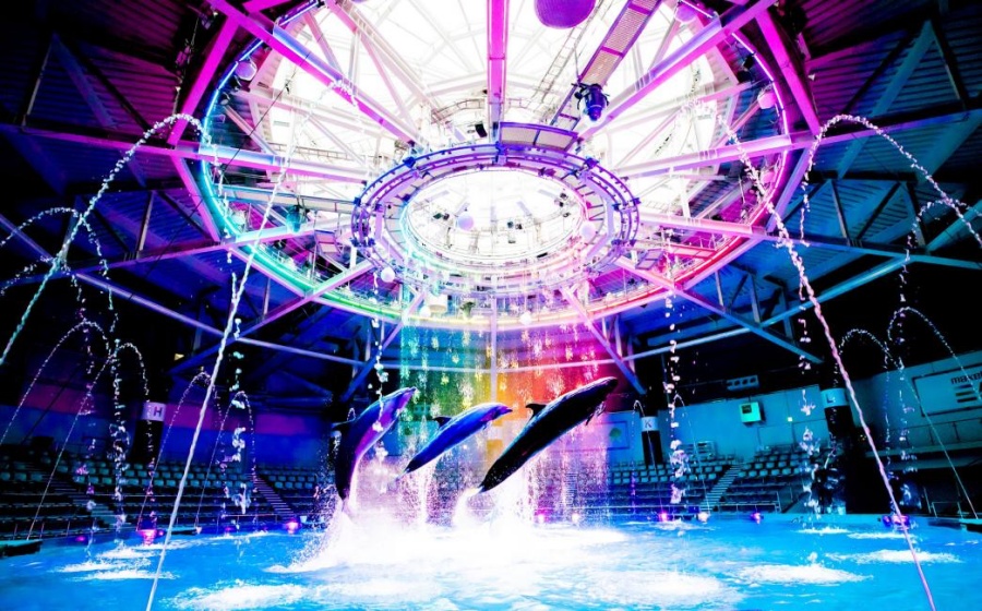 東京景點-品川水族館