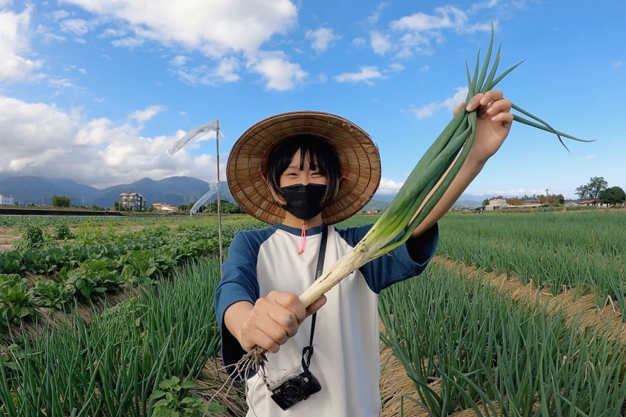 宜蘭親子景點-宜蘭三星蔥-蔥寶寶體驗農場