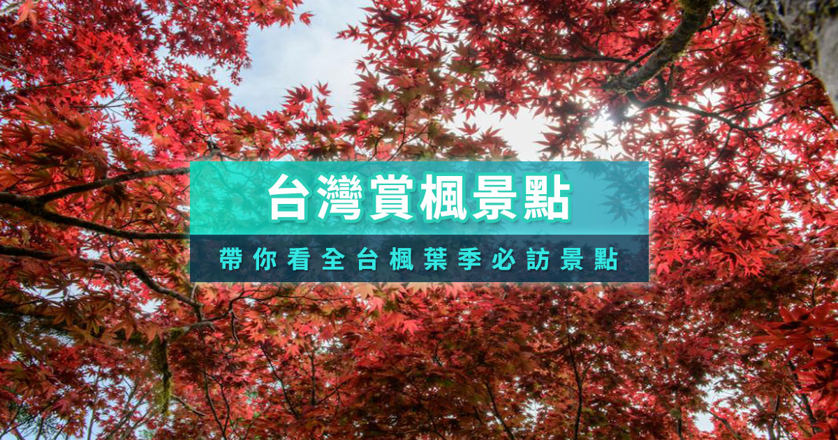 2025台灣賞楓推薦》全台楓葉時間整理/奧萬大/陽明山等景點攻略