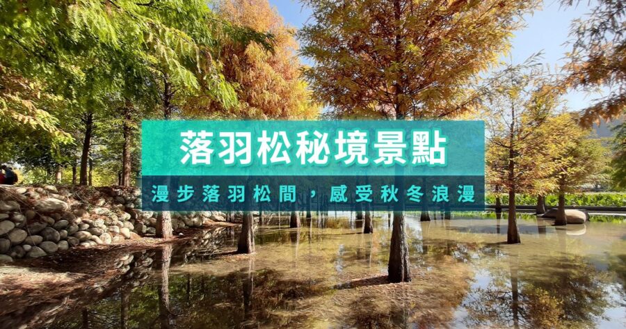落羽松景點2025》落羽松季節攻略/全台23個落羽松公園祕境推薦